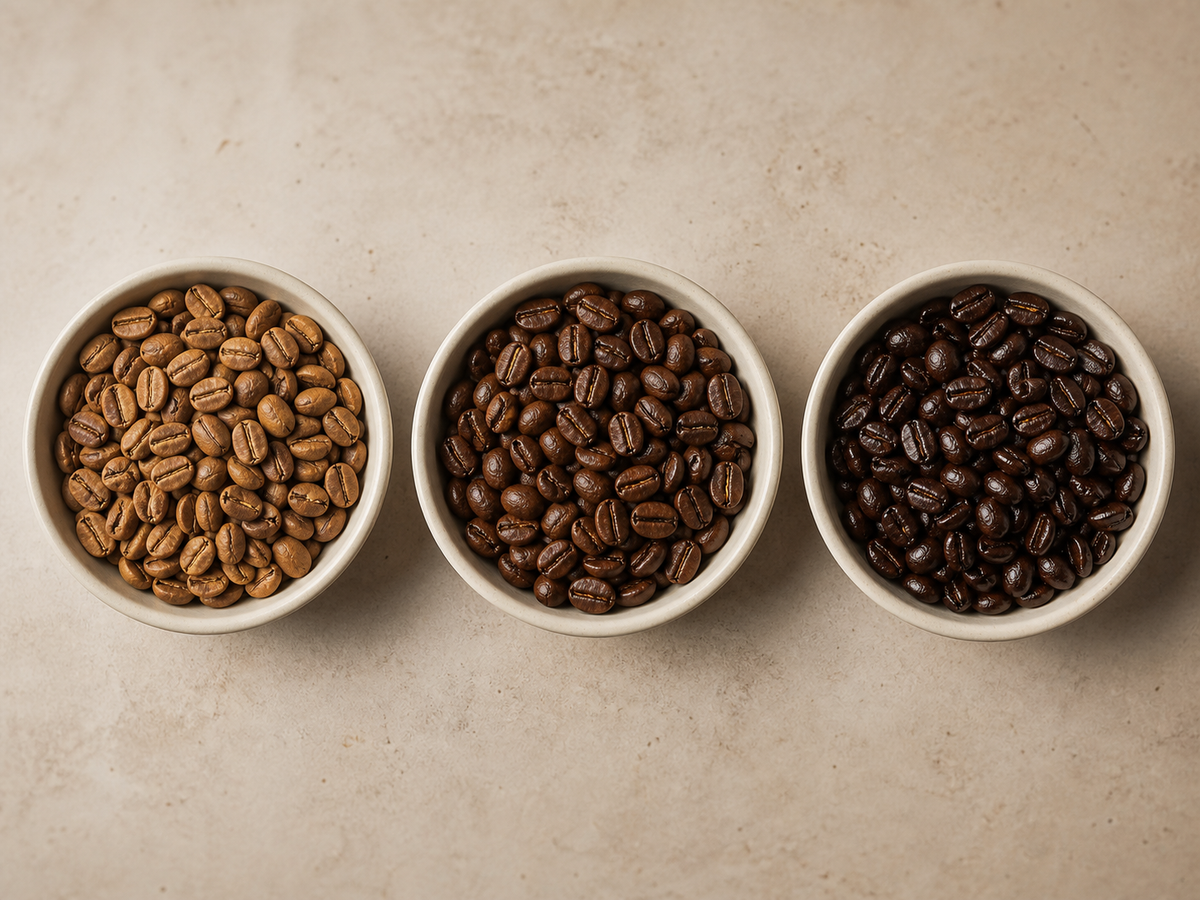 Light, medium and dark roasted coffee beans compared side by side